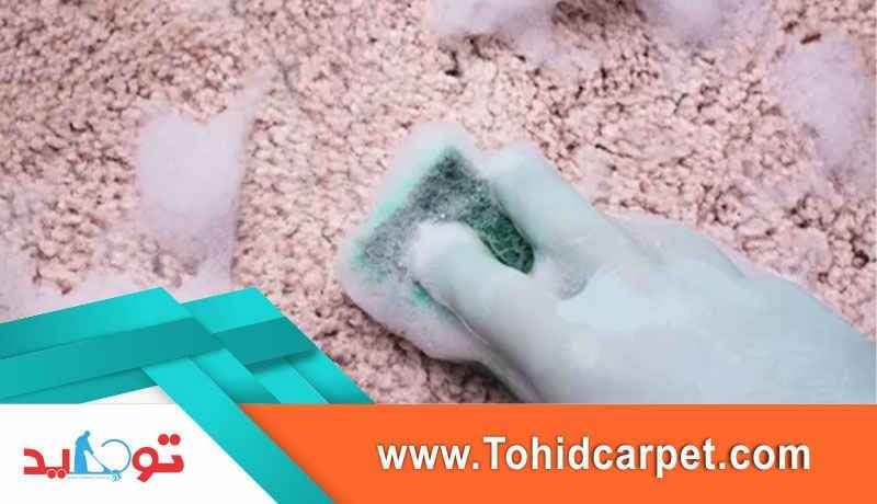 شامپو فرش آنزیم دار