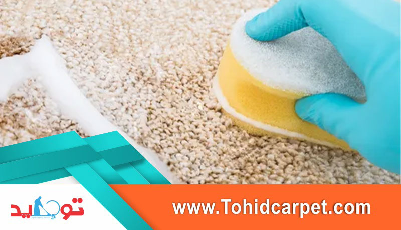 از بین بردن کپک فرش