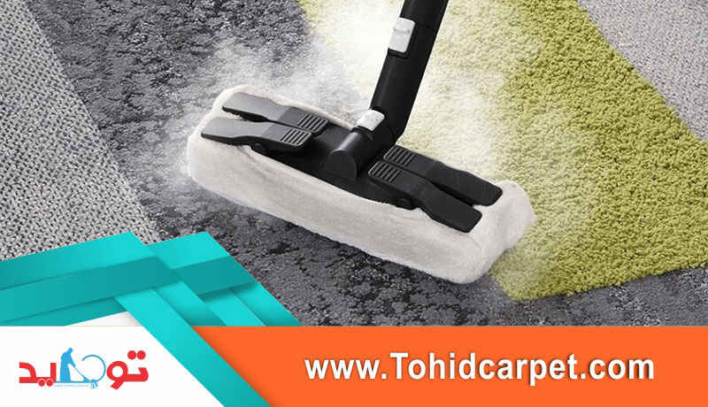 رفع کپک فرش