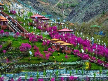 قالیشویی در  گلابدره