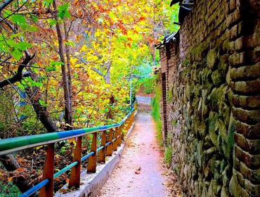 قالیشویی در  درکه