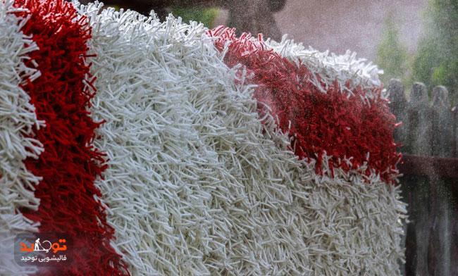 خدمات موکت شویی قالیشویی توحید