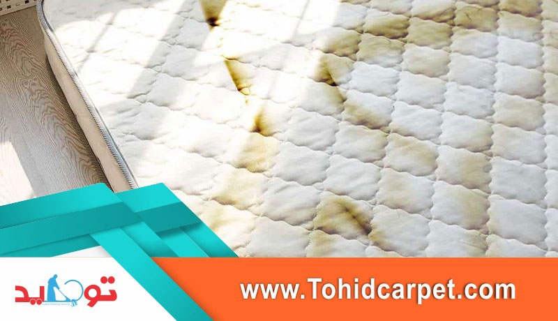 روش های لکه زدایی از خوشخواب