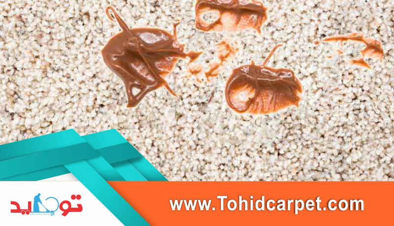  تمیز کردن لکه شکلات از موکت 